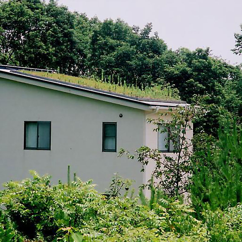 滋賀県栗東市の注文住宅の屋上緑化