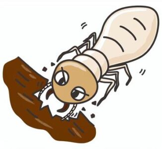 Cartoon termite gnawing on a brown log, showing large jaws and multiple legs.