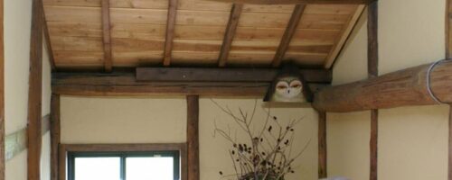太い梁と板張りの勾配天井を残して再生した古民家の和室